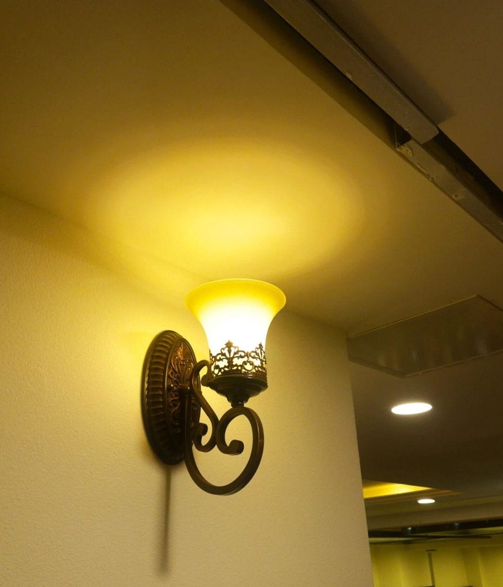 Customer photo review of Black Iron Wall Light, Two Arms, Glass Shades, Wall Sconce