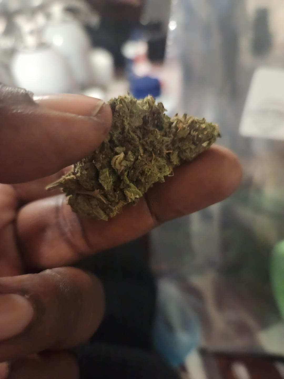 Customer photo review of Biscotti THCA Flower (Budget)