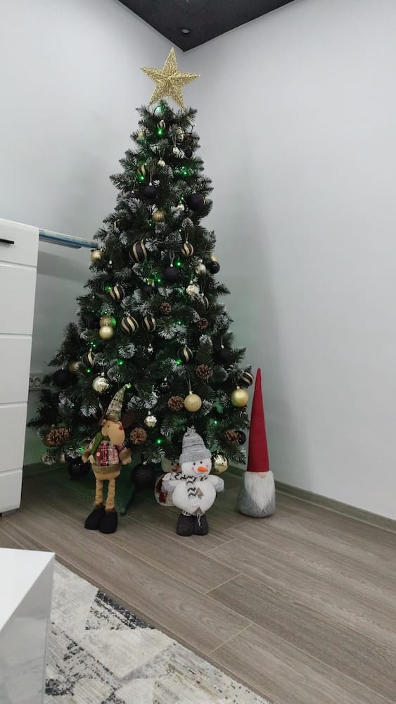 Customer photo review of Brad artificial de Crăciun Pădure de Iarnă, nins cu conuri naturale, 2D, 200 cm