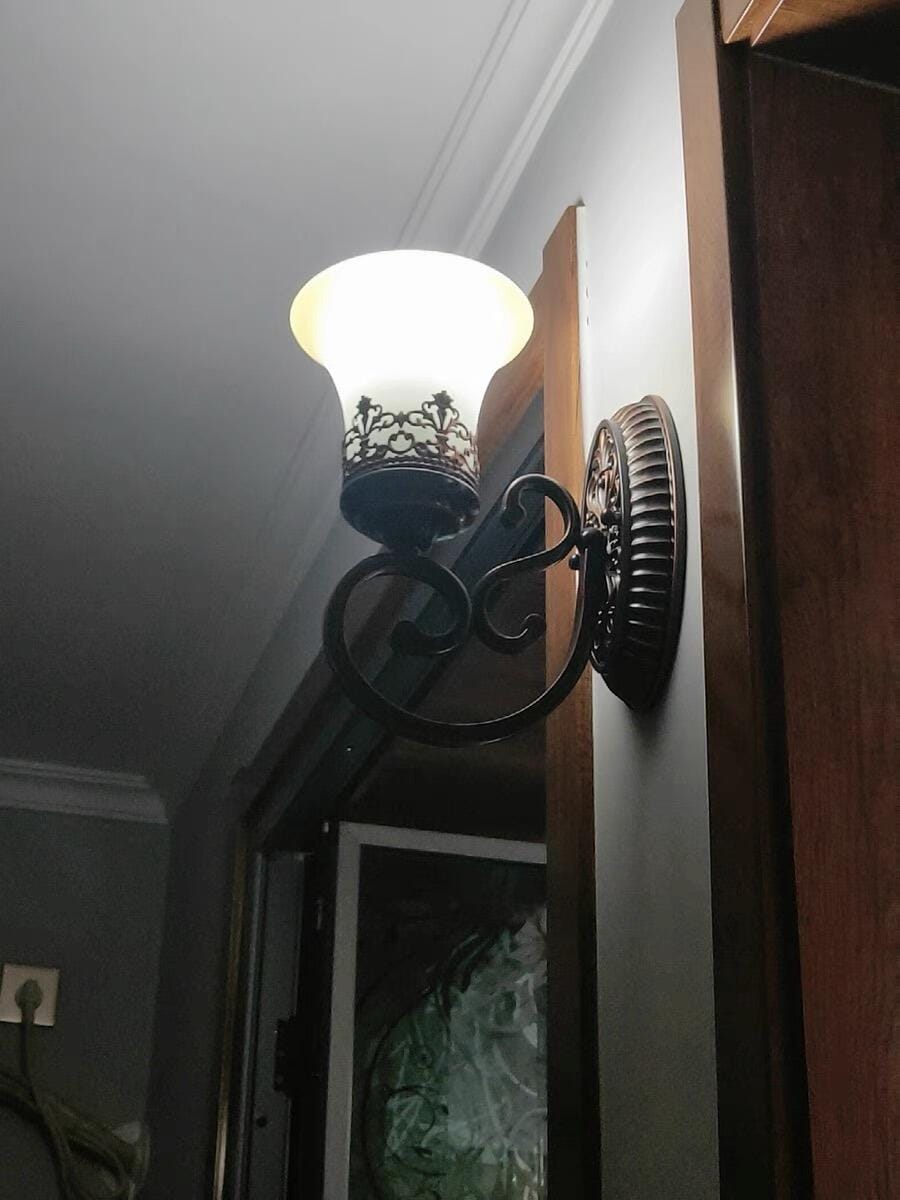 Customer photo review of Black Iron Wall Light, Two Arms, Glass Shades, Wall Sconce