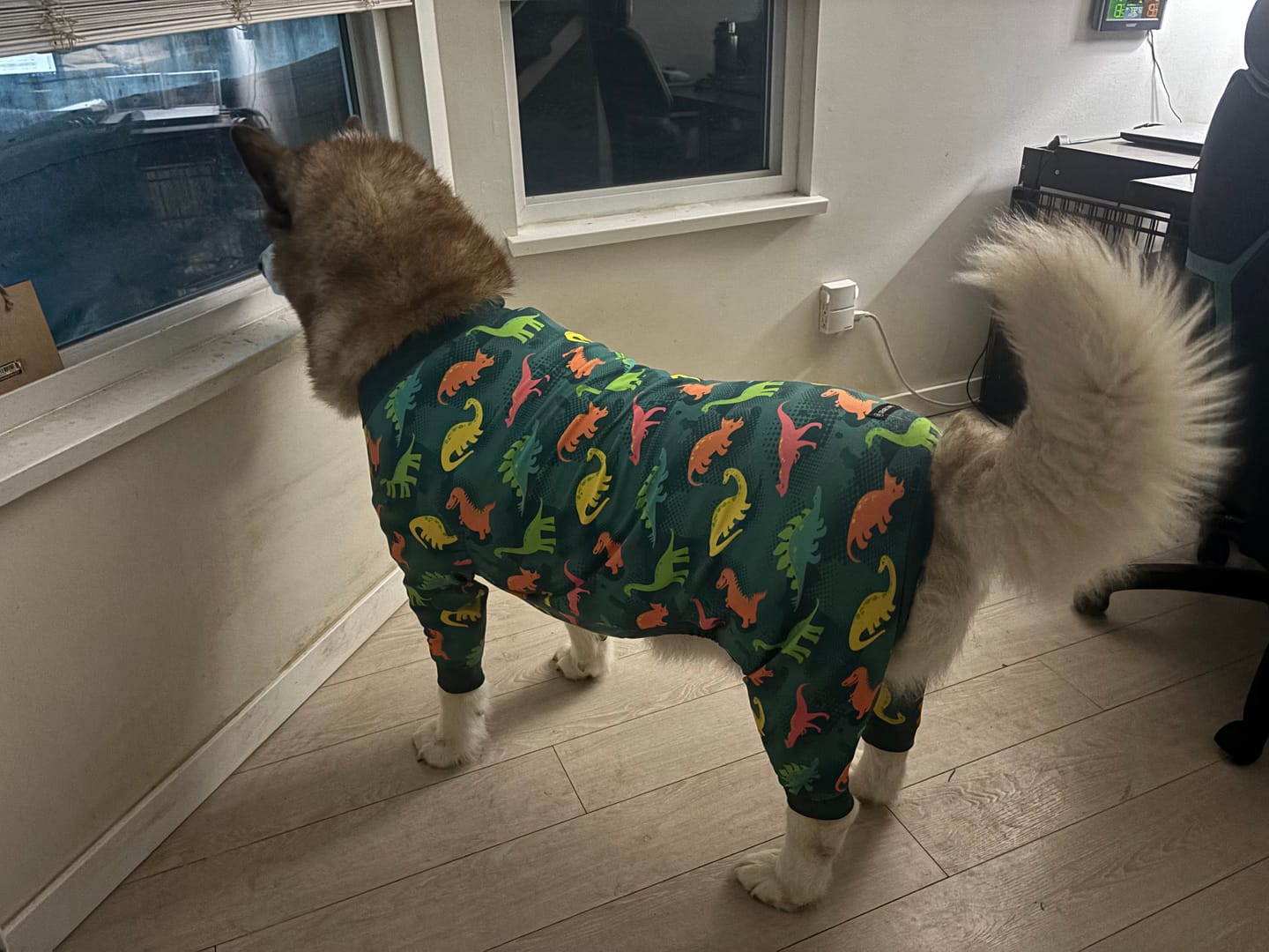 Customer photo review of Dog Pajama - Dinosaurs