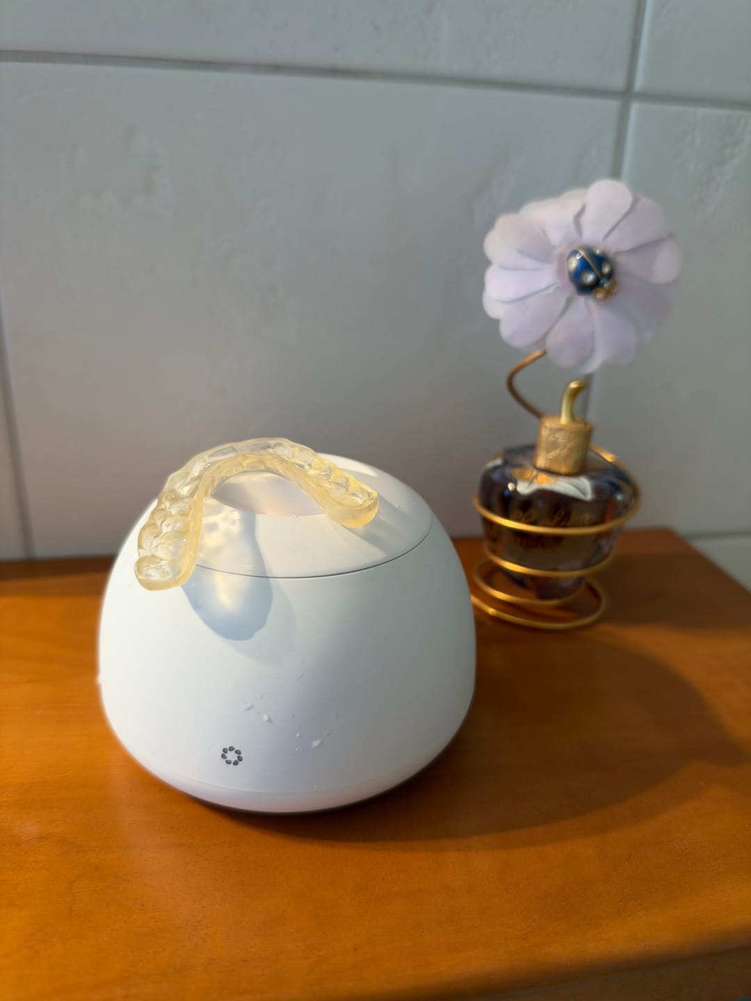 Customer photo review of Dental Pod