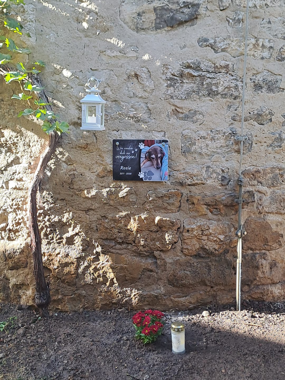 Customer photo review of Hunde Gedenktafel mit Foto & Spruch (UV- & Wetterfest)