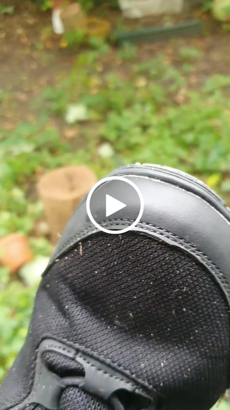 Customer video review of Brave Ⅰ - Barfußschuhe