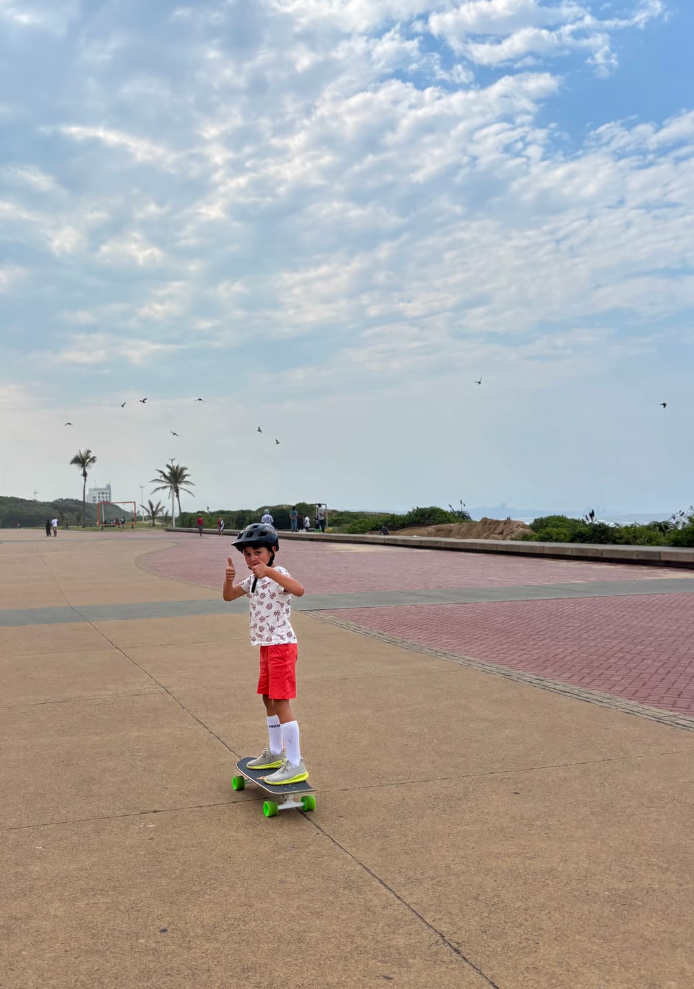 Customer photo review of Swallow Tail  31.5” - Surf Skate - Complete