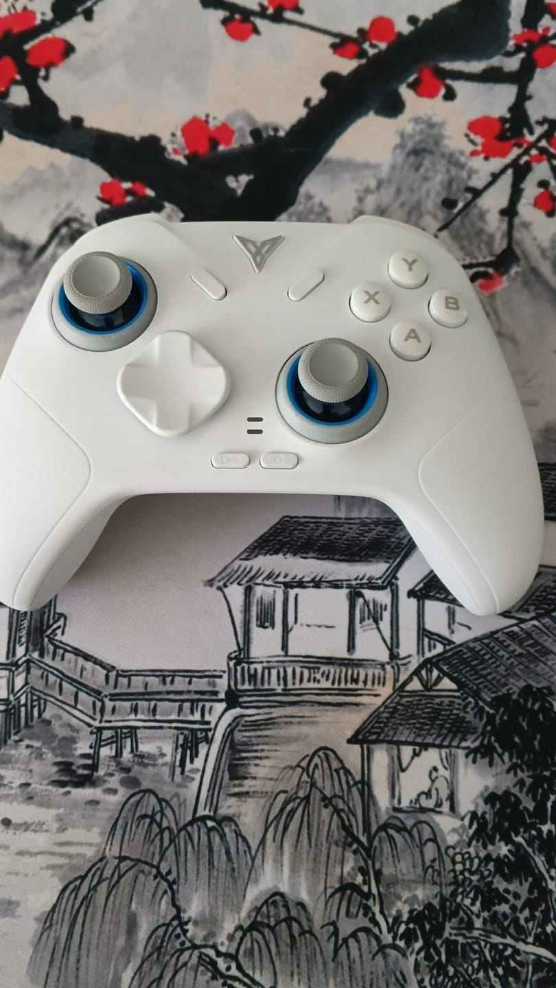 Customer photo review of FLYDIGI Direwolf 4 Oyun Kolu