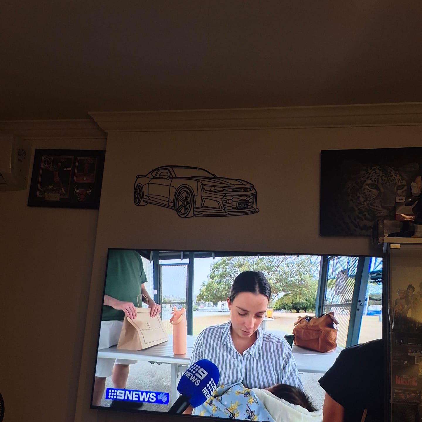 Customer photo review of Custom Car & 4WD Metal Wall Art