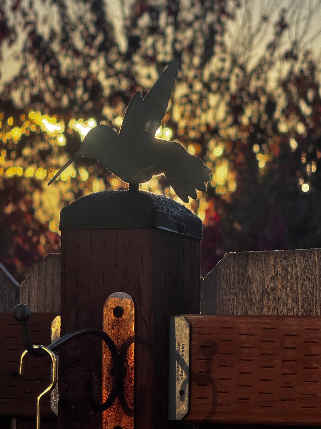 Customer photo review of Hummingbird Post Cap (Multiple Post Sizes Available)