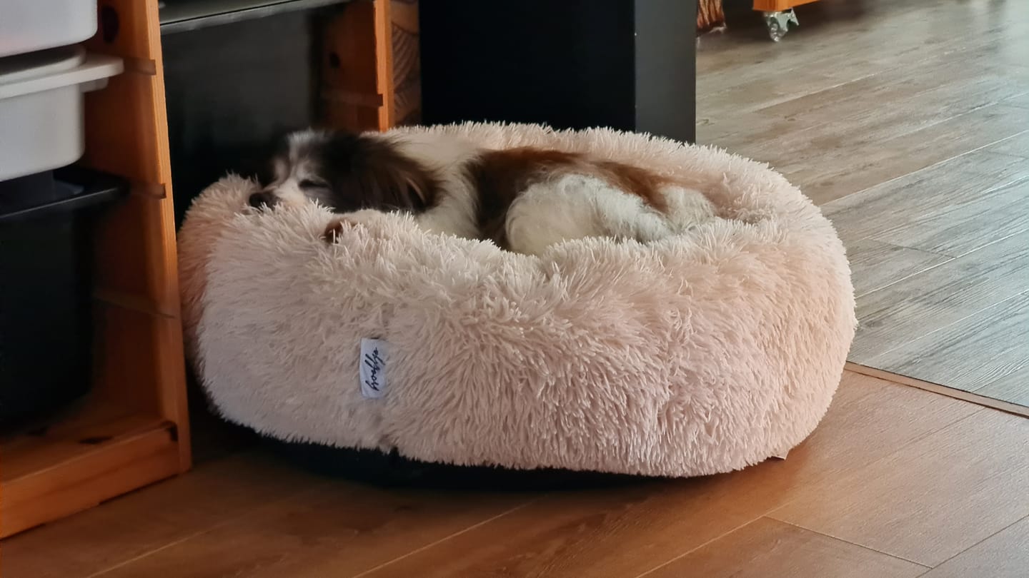 Customer photo review of Brooklyn® Deep Sleep Spare Covers