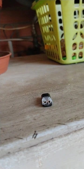 Customer photo review of BOLTHUT™ Solder Seal Wire Connectors — Heat-Shrink, Water-Resistant