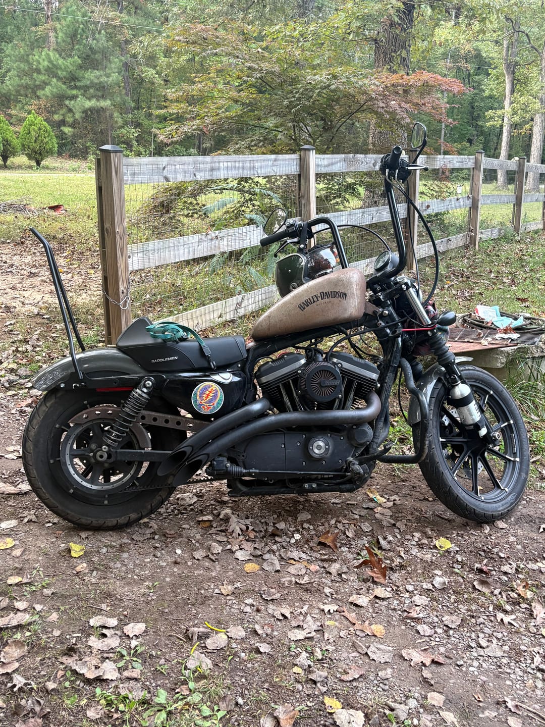 Customer photo review of Iron Born Blade 25" Sissy Bar for Harley Sportster 883 Iron XL883N Matte Black