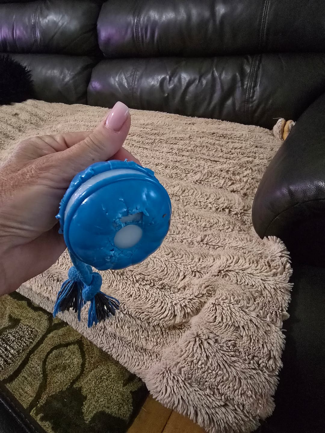 Roz H. review photo
