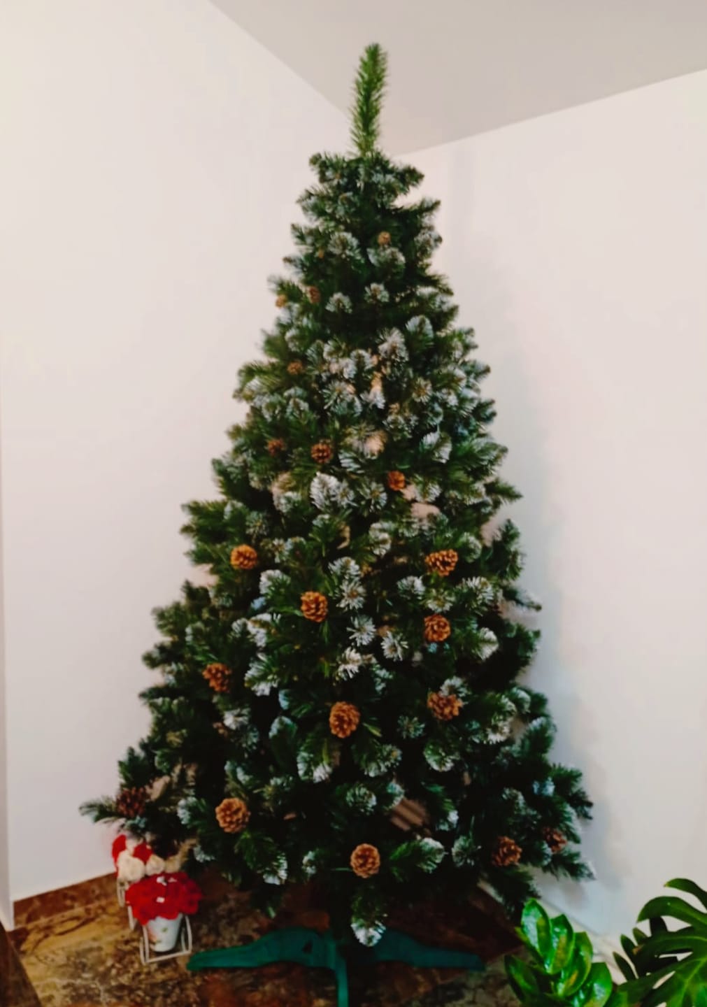 Customer photo review of Brad artificial de Crăciun Pădure de Iarnă, nins cu conuri naturale, 2D, 220 cm