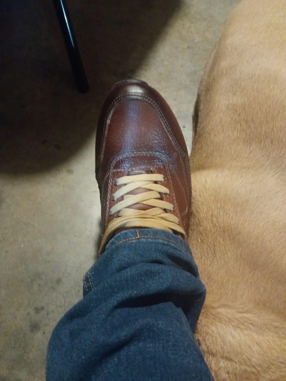 Customer photo review of Tenis Toronto - Shedrón
