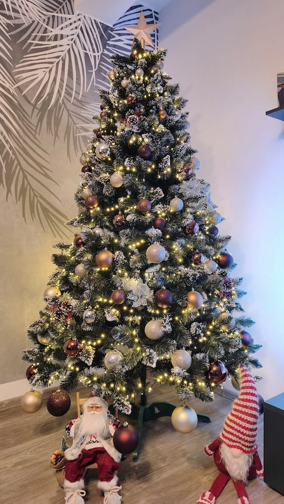 Customer photo review of Brad artificial de Crăciun Fulg de Nea, nins cu merișoare albe, 2D, 220 cm