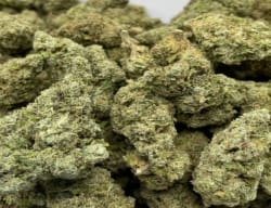 Customer photo review of Candy Gas THCA Flower