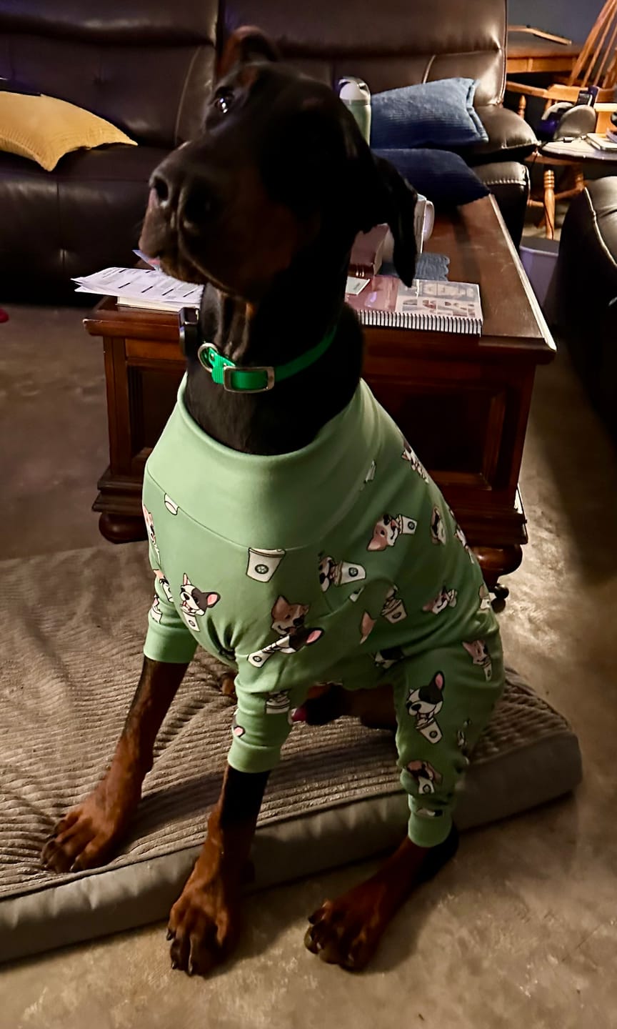 Customer photo review of Dog Pajama - Pup Cup