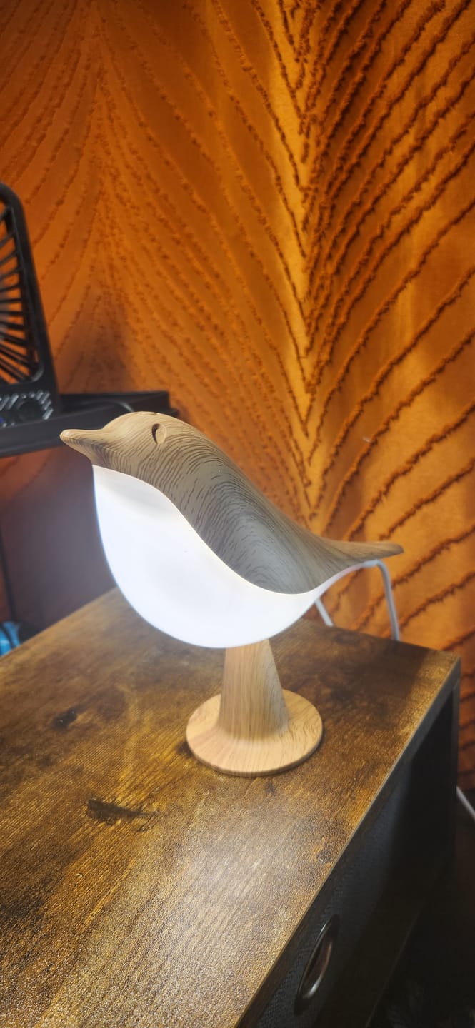 Customer photo review of Glow Bird