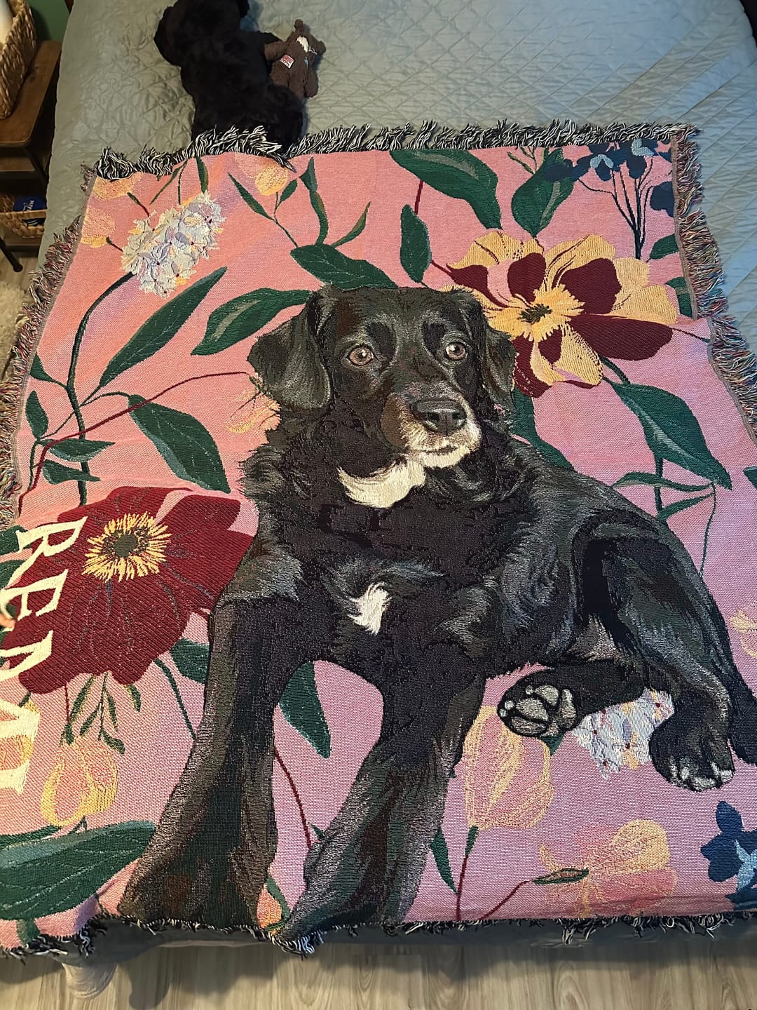Customer photo review of Heirloom Pet Throw Blanket - Mauve Floral