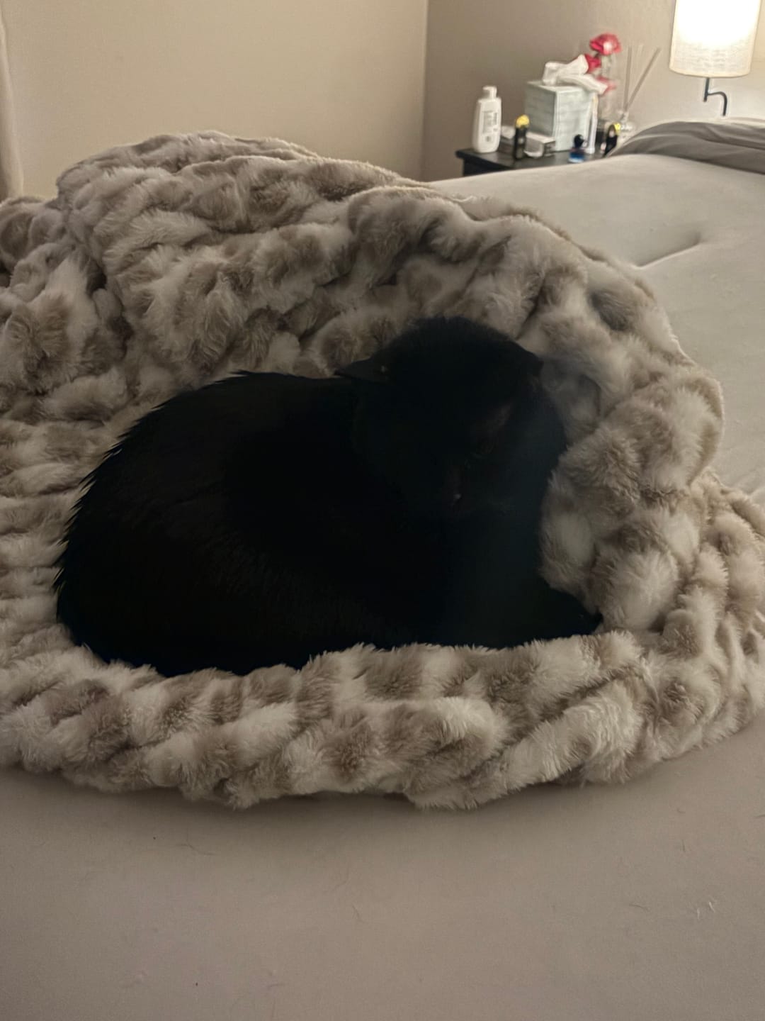Customer photo review of Hugs Snow Leopard Blanket