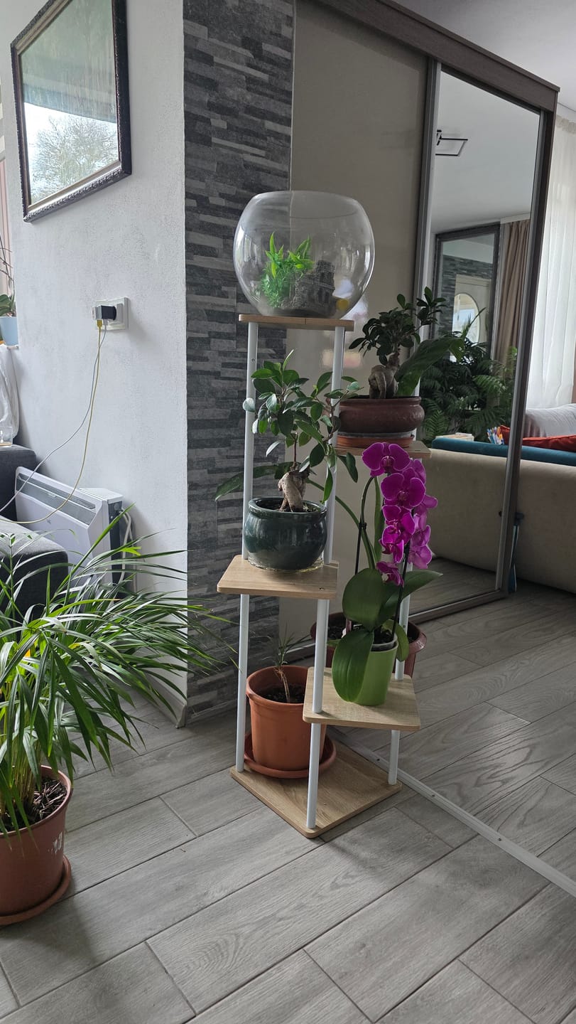 Customer photo review of Etajera ADITE, stejar sonoma/alb, PAL/metal, 30x30x107 cm
