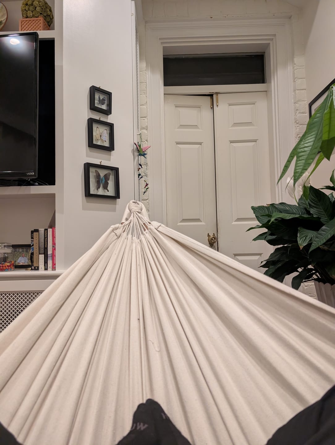 Customer photo review of The Go Hammock (Pre-sale)