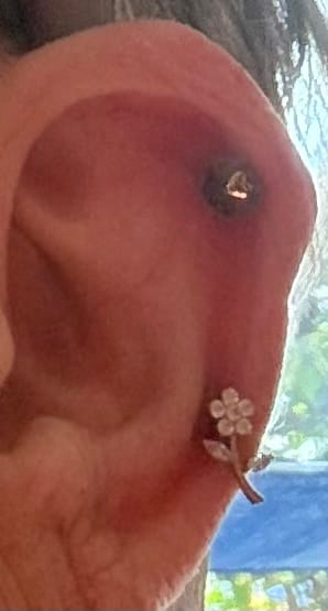 Customer photo review of Gloriosa Piercing | Titan