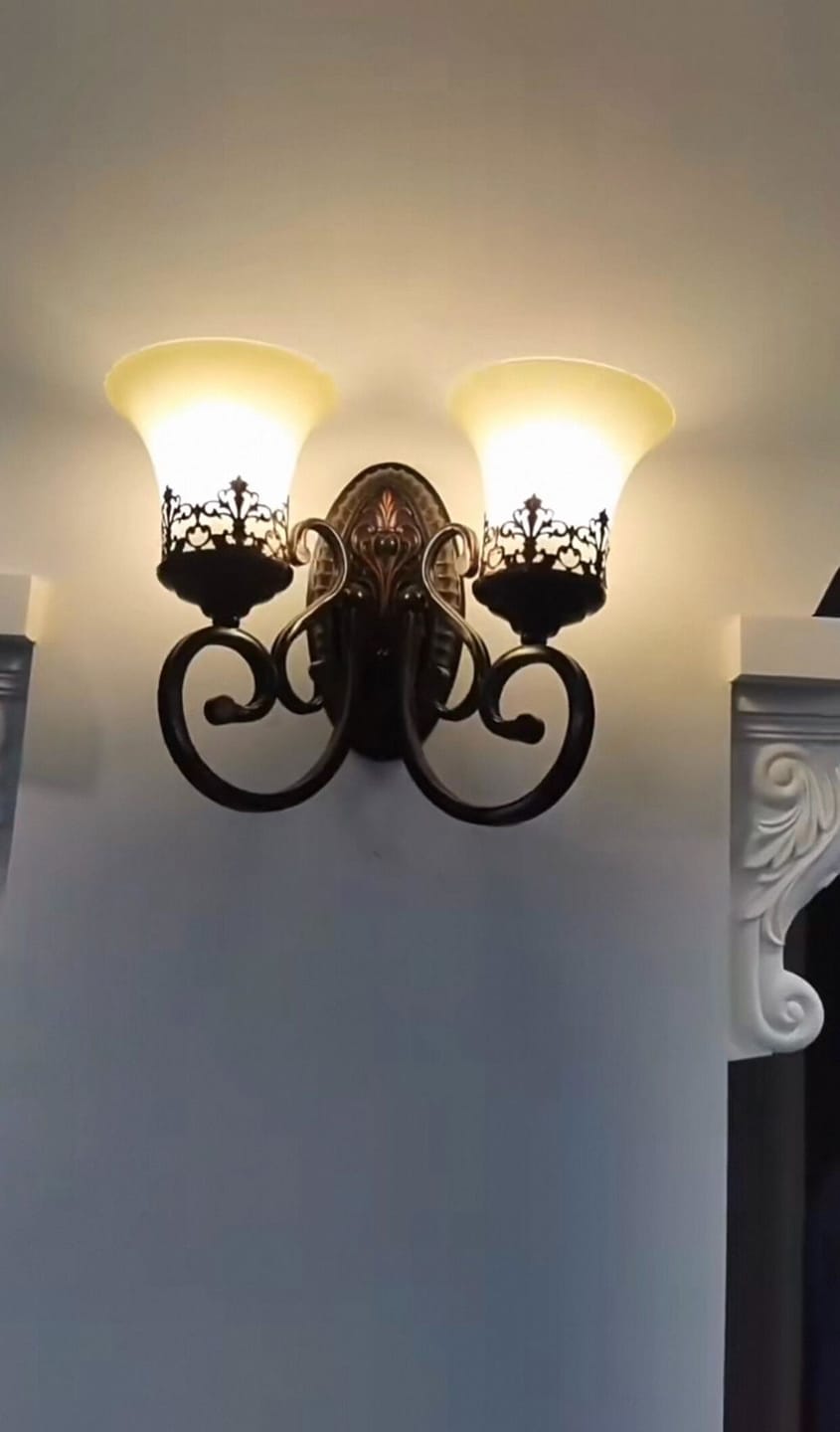 Customer photo review of Black Iron Wall Light, Two Arms, Glass Shades, Wall Sconce