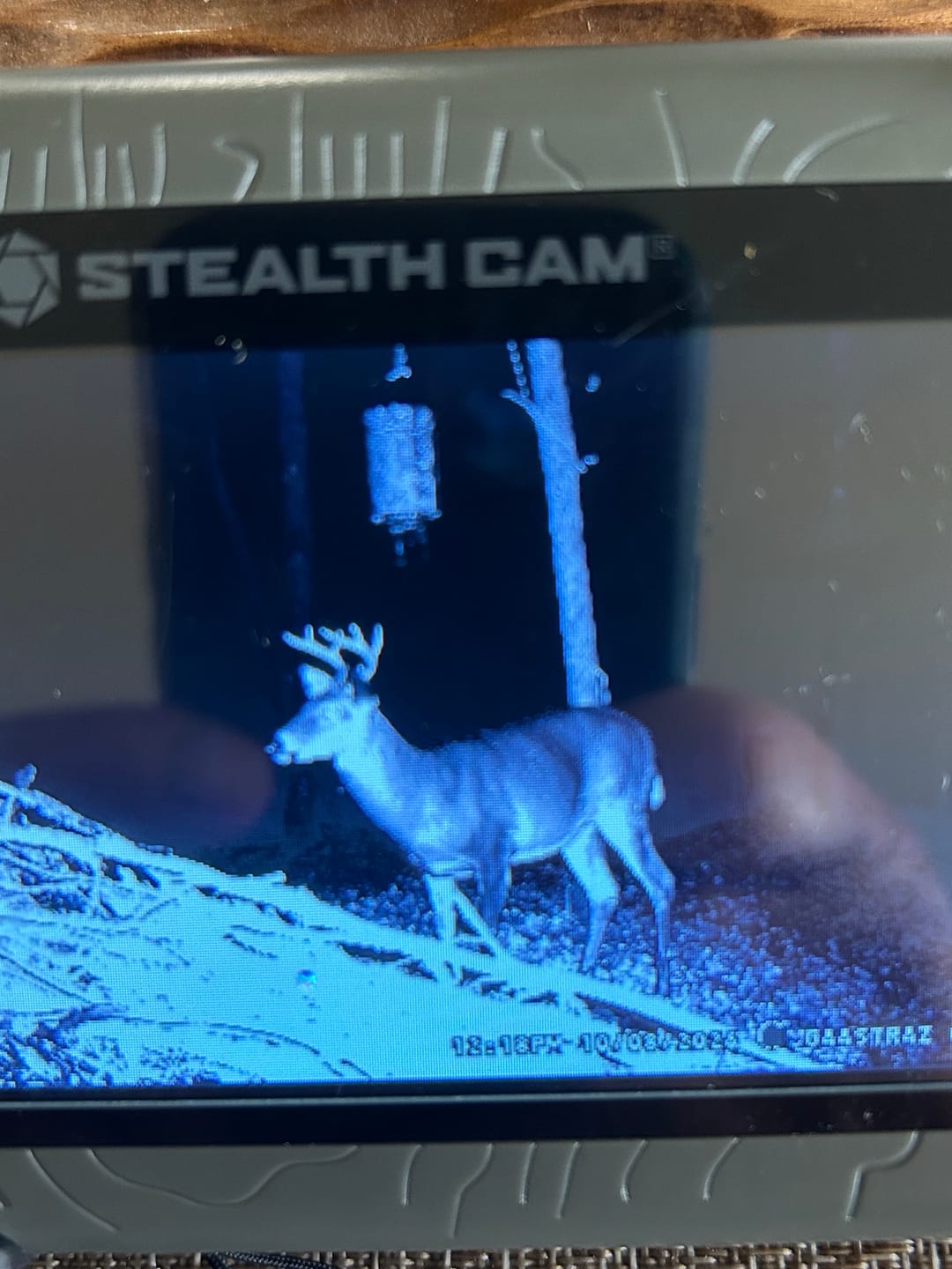 Customer photo review of Stealth Cam 4.3 SD Card Reader/Viewer with HD 1080P Playback