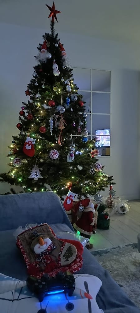 Customer photo review of Brad artificial de Crăciun Bucegi, verde clasic, 220 cm, cu suport