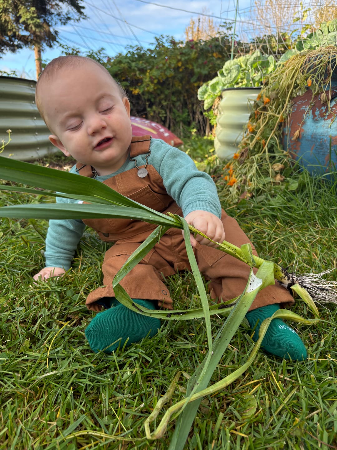 Customer photo review of Natural Fiber Trail Socks — 2 Pack