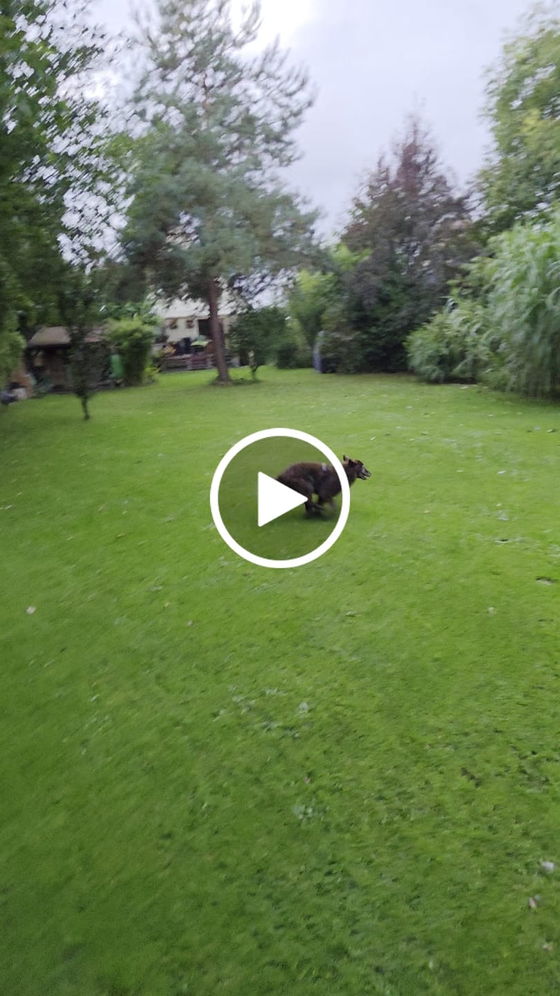 Customer video review of Wurmtest Plus Hund