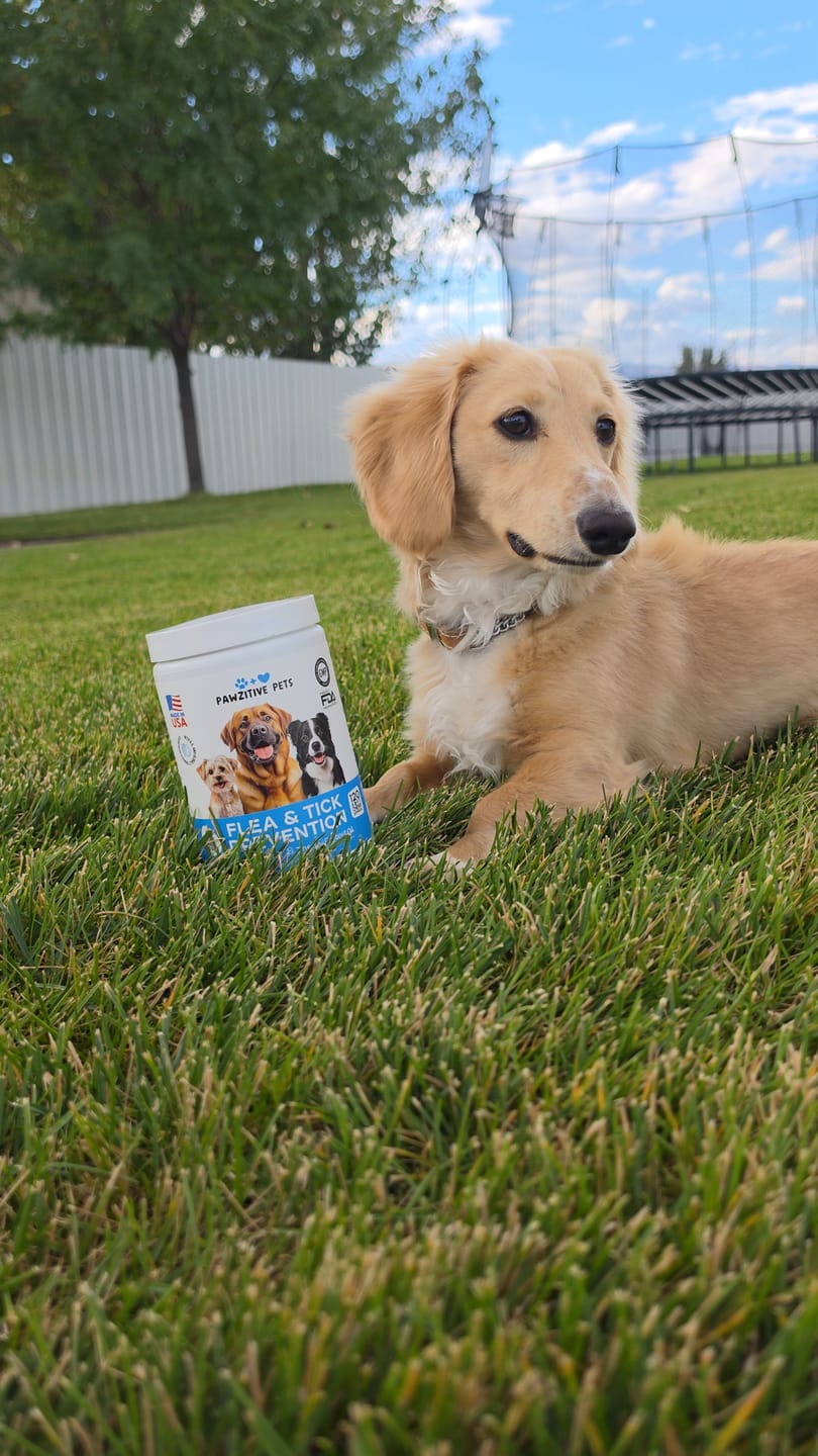 Customer photo review of Dog Flea and Tick Prevention for Outdoor & Seasonal Protection – Skin & Coat Support, 120 Soft Chews (Beef Flavor)