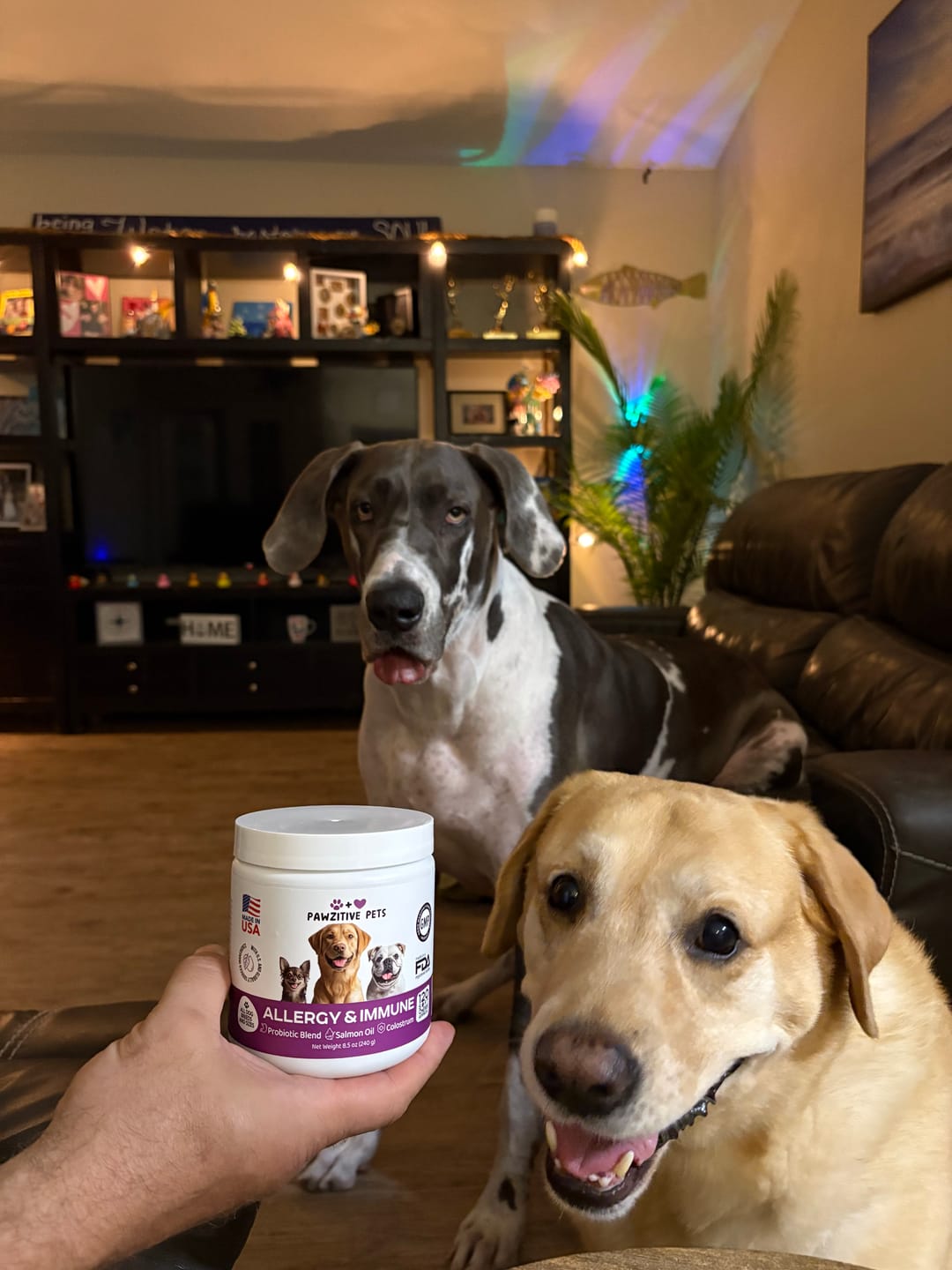 Customer photo review of Dog Allergy Chews for Itchy Skin, Paw Licking & Seasonal Allergies – Immune Support, 120 Soft Chews (Beef Flavor)