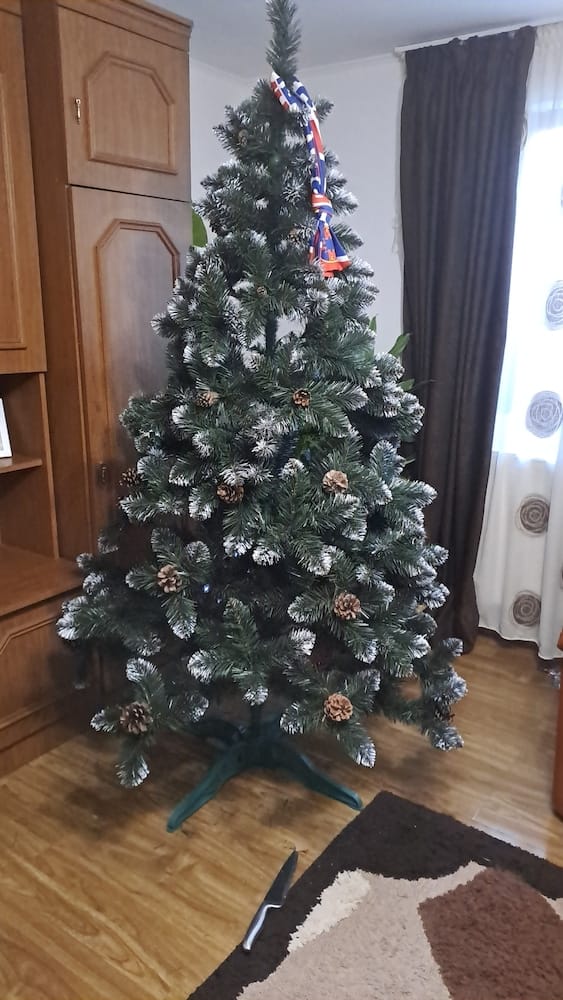 Customer photo review of Brad artificial de Crăciun Pădure de Iarnă, nins cu conuri naturale, 2D, 200 cm