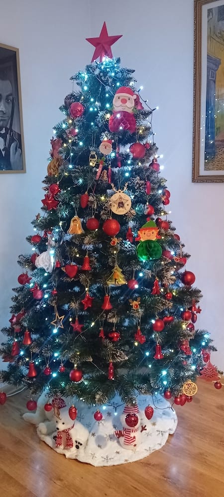 Customer photo review of Brad artificial de Crăciun Fulg de Nea, nins cu merișoare albe, 2D, 220 cm