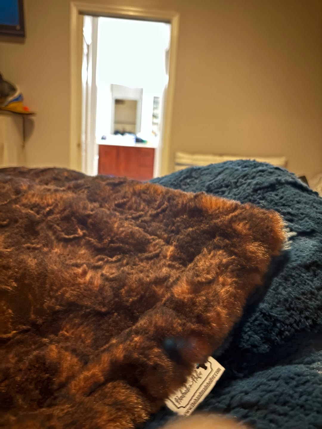 Customer photo review of The French Midnight Blanket