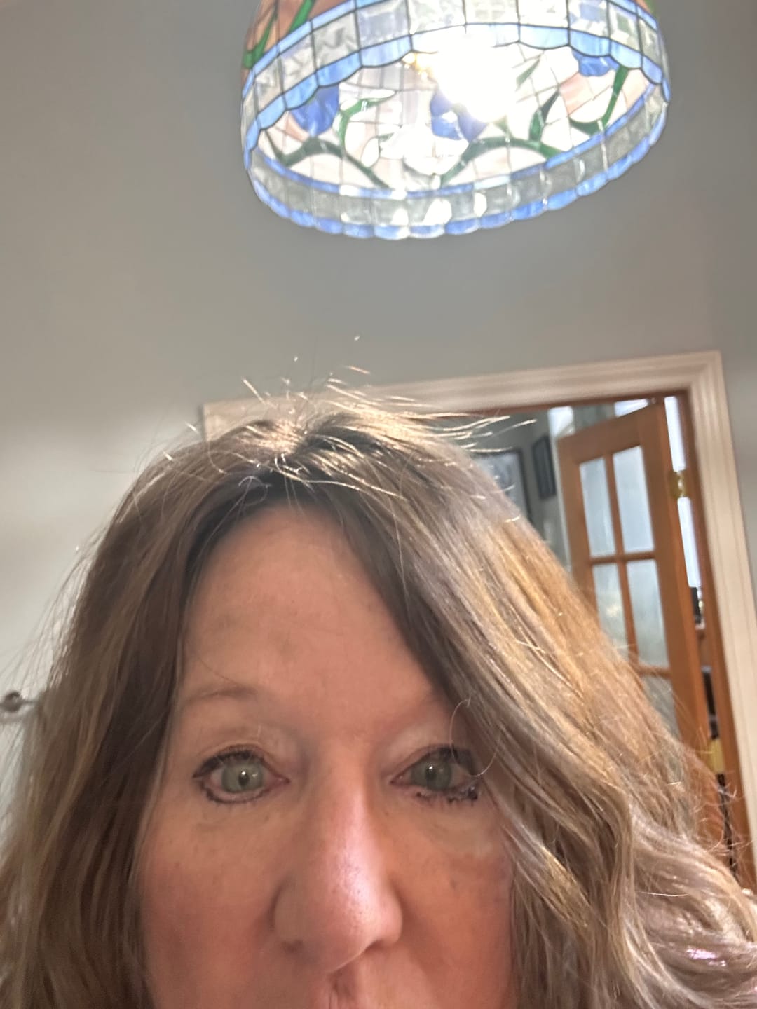 Customer photo review of Ella Full Volume Hair Topper