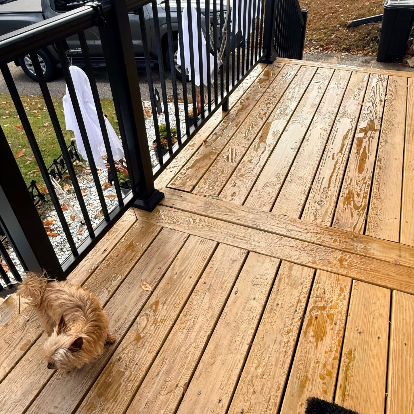 Customer photo review of C2 Guard Waterproofer and Deck Sealer