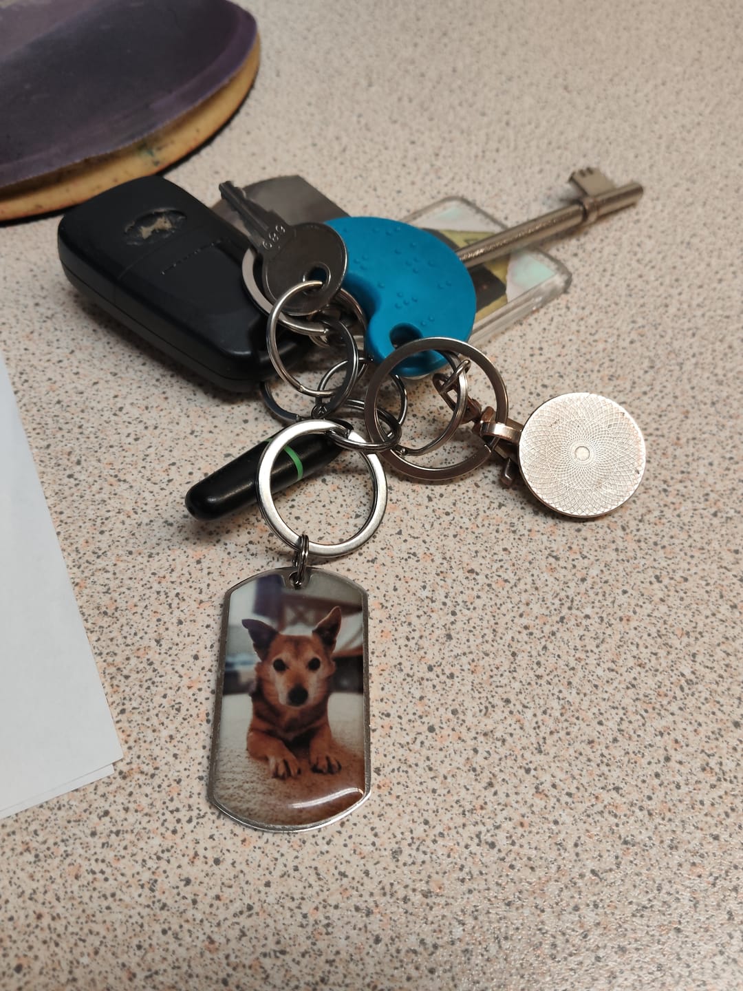 Customer photo review of Personalized Pet Keychain