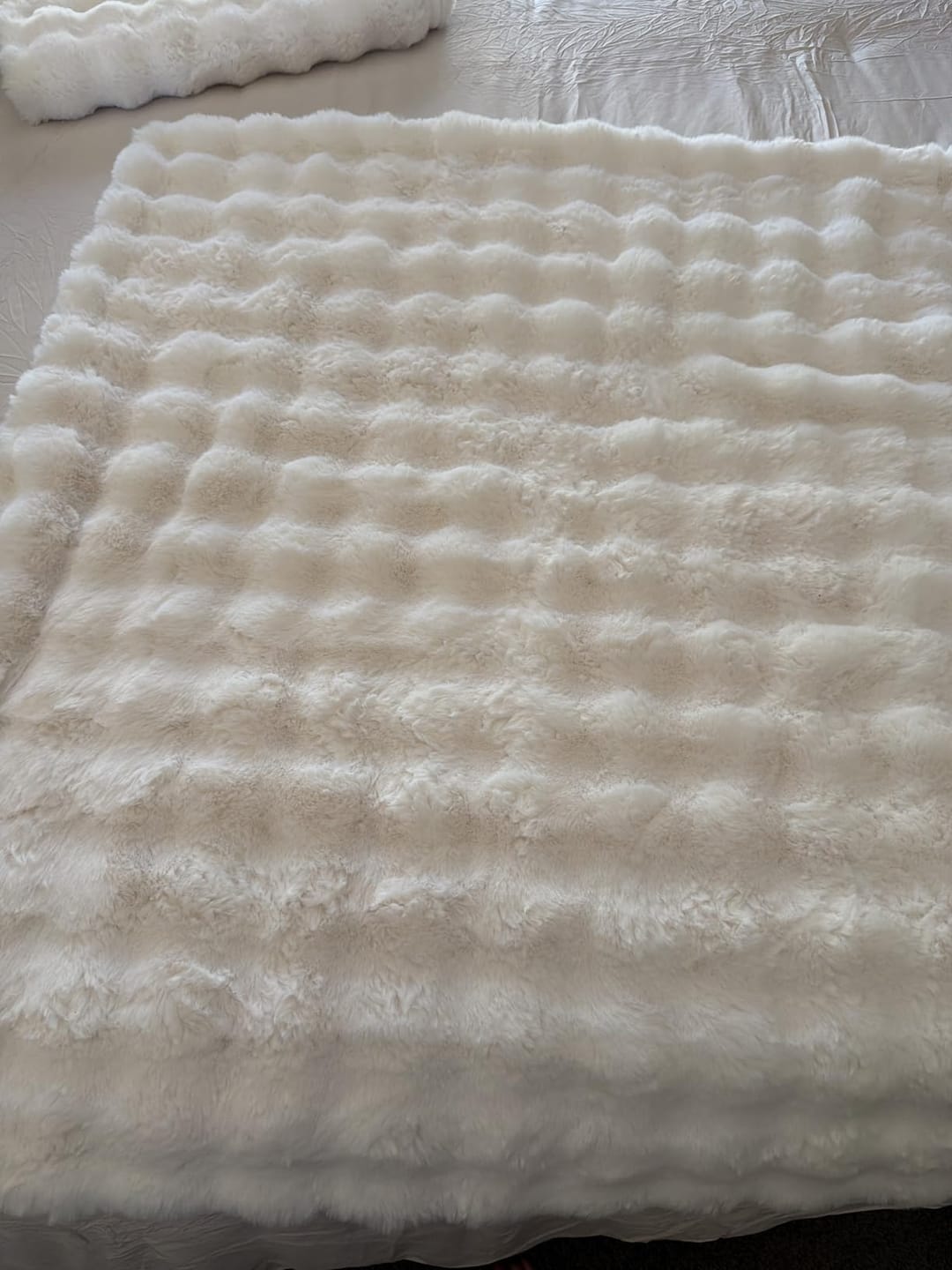 Customer photo review of CloudNap Plush Throw Blanket