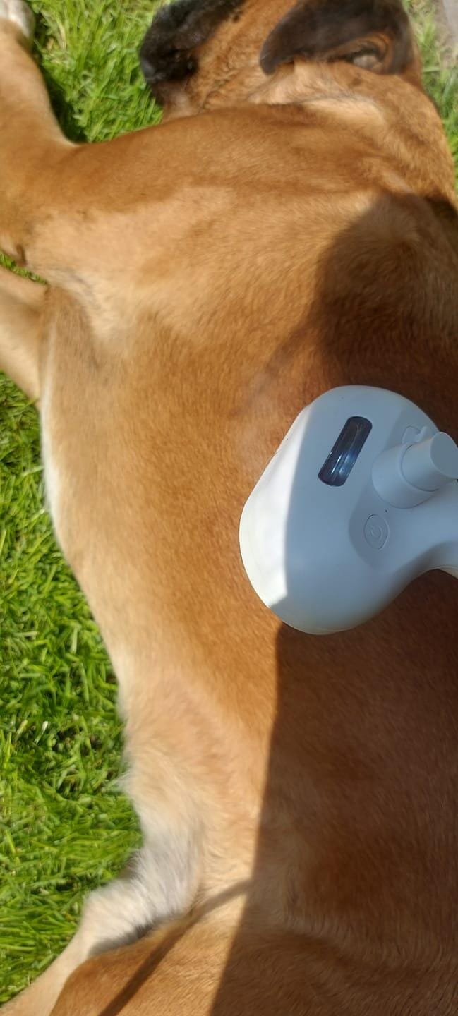 Customer photo review of Test produkt