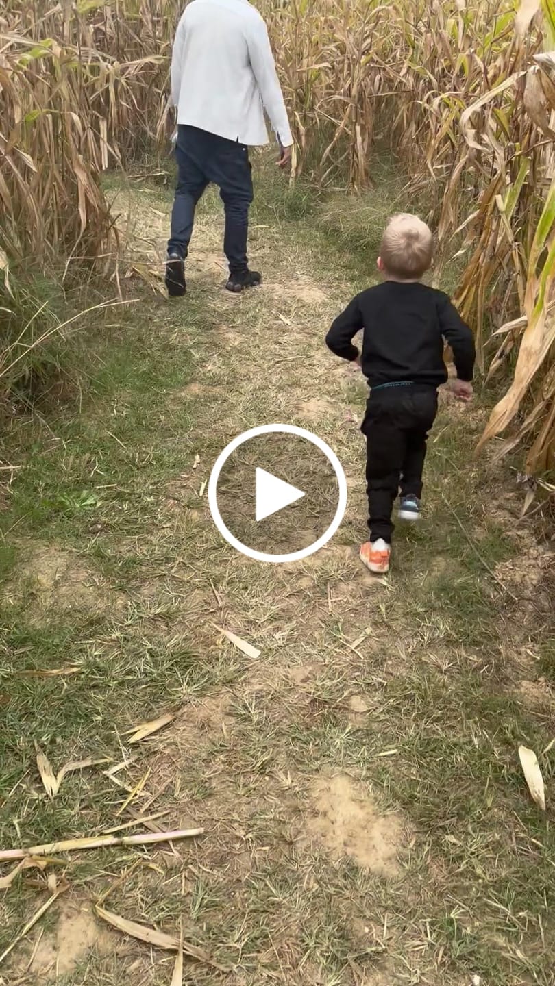 Customer video review of The Antidote Pant