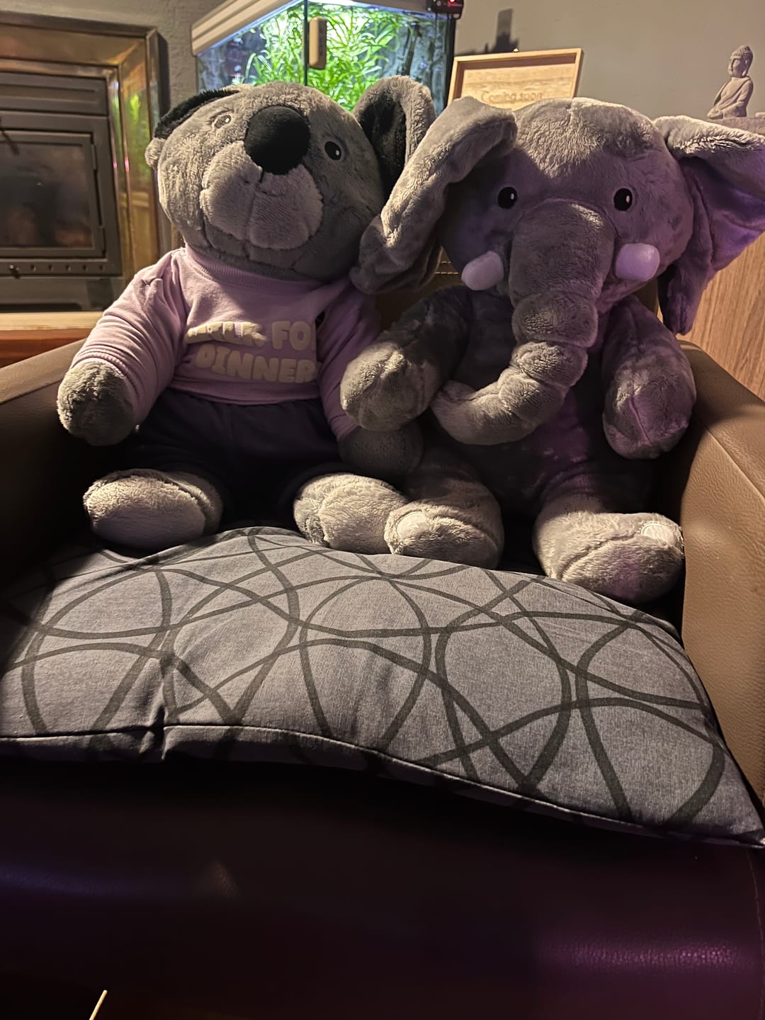 Customer photo review of Lotgenootje Olifant 2kg