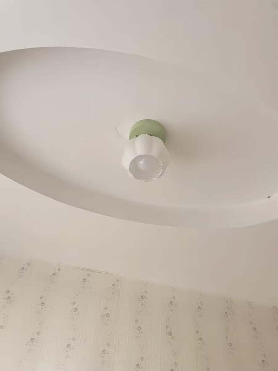 Customer photo review of Flower Semi Flush Ceiling Light, Glass Shade, Green Base, 15 cm