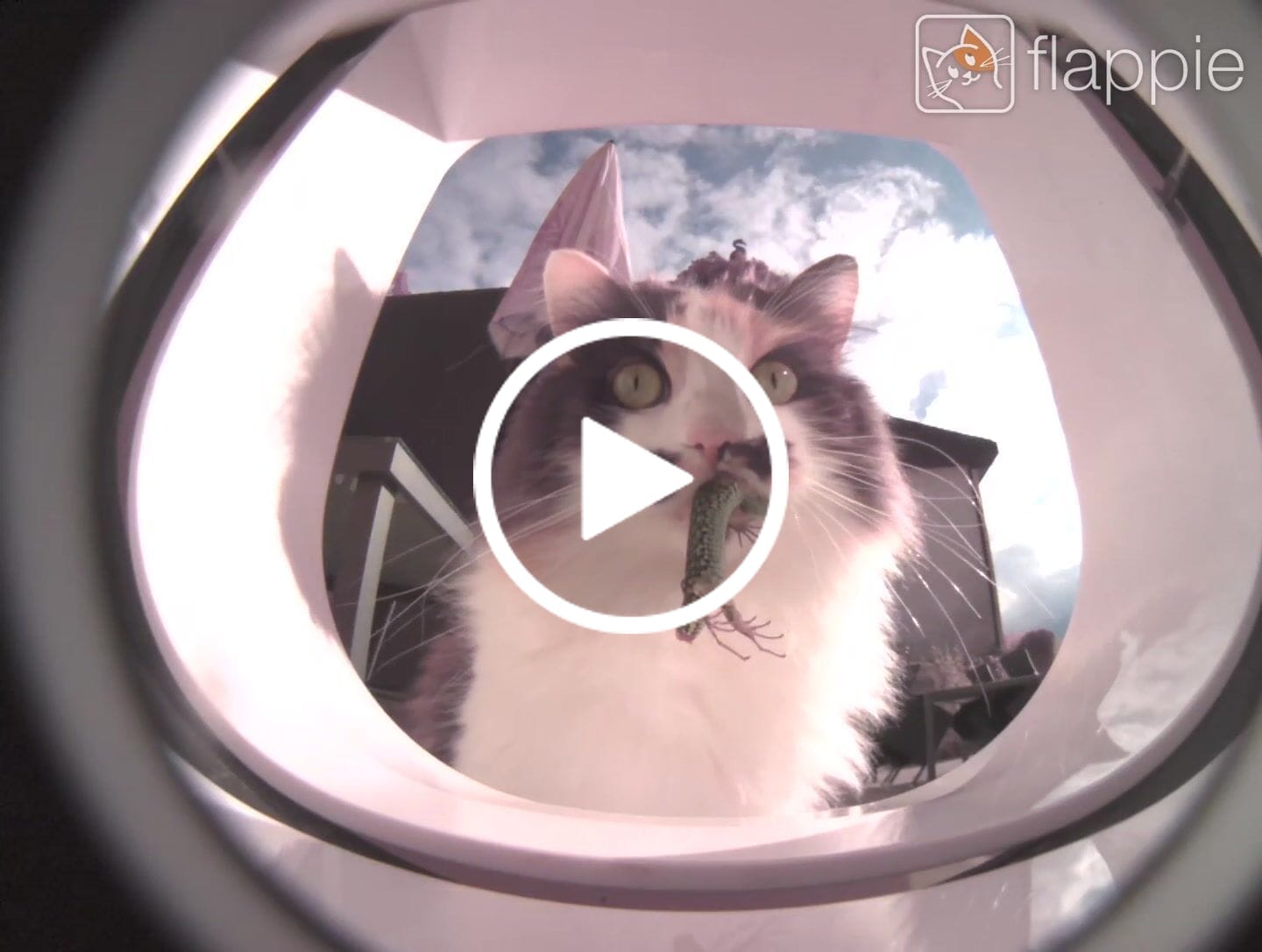Customer video review of Flappie®