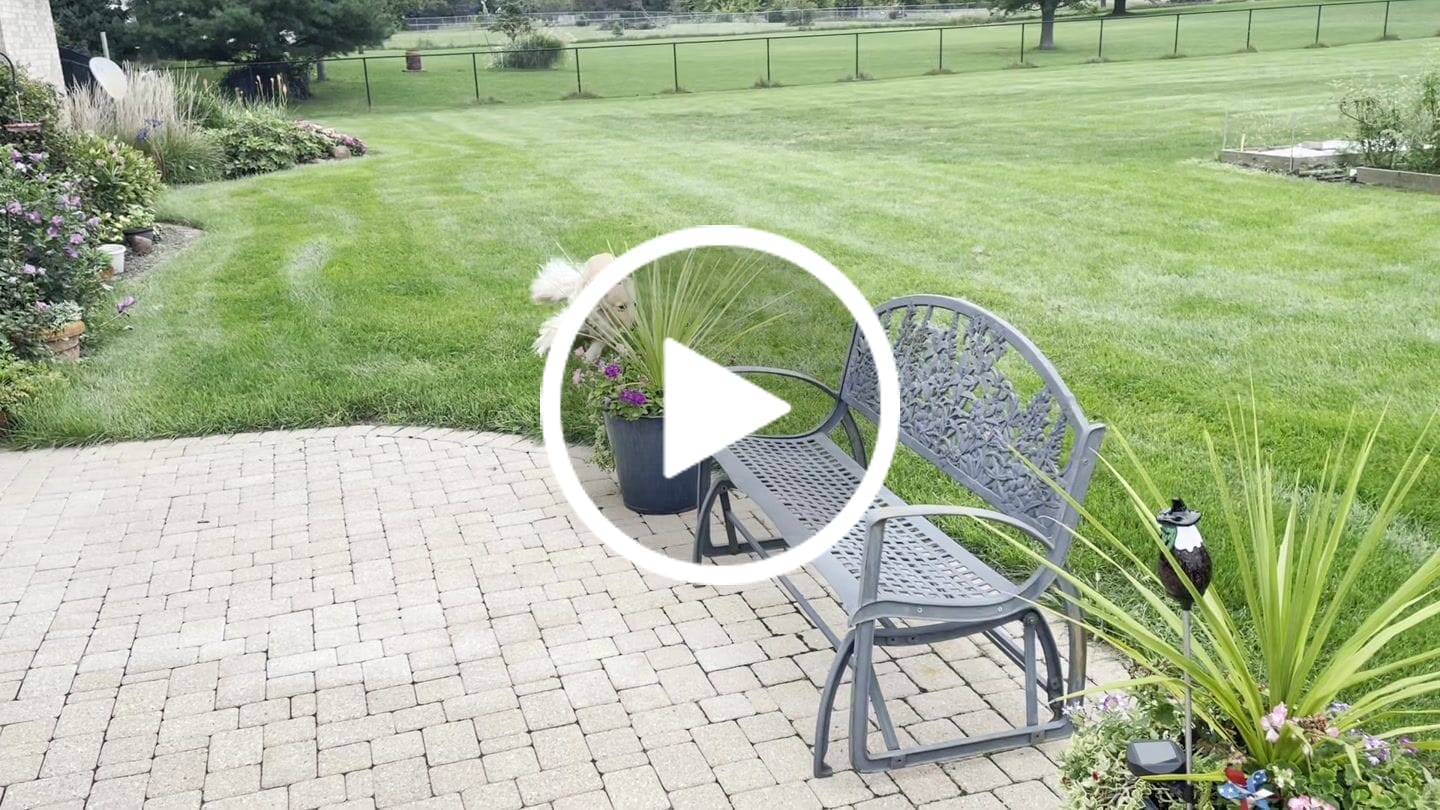Customer video review of Dogshood ™ No Pull Harness
