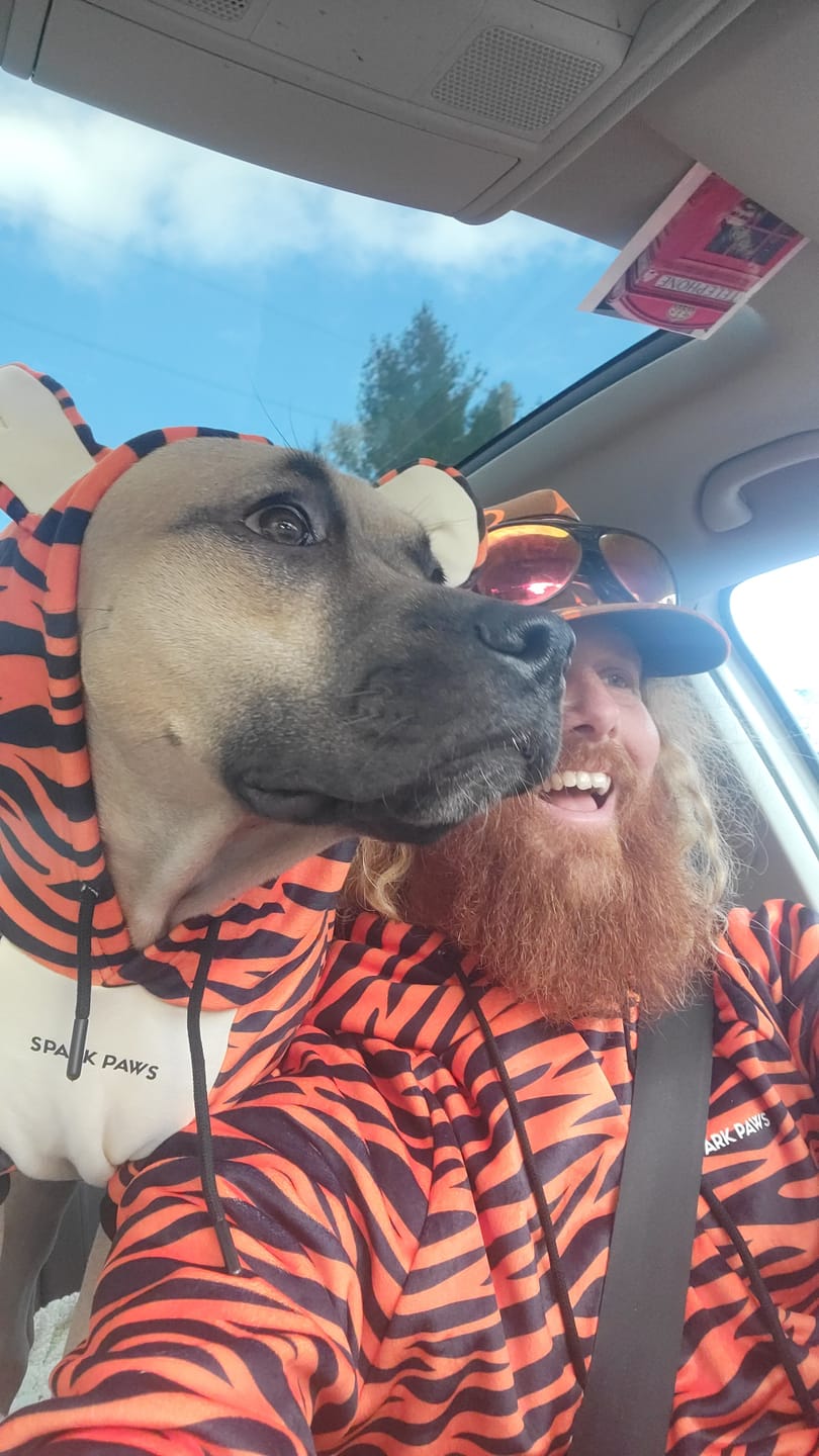 Customer photo review of Halloween Dog Hoodie - Tiger