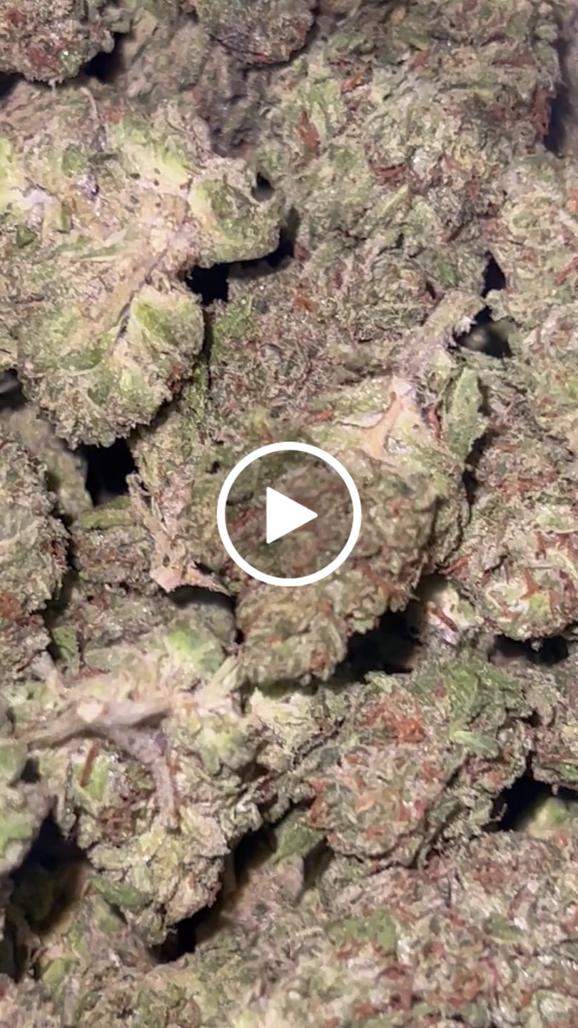 Customer video review of Gas Cake - Bulk - Indica