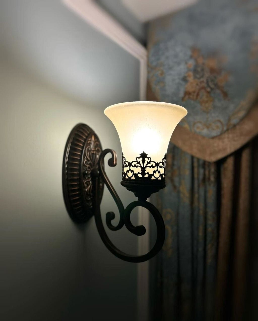 Customer photo review of Black Iron Wall Light, Two Arms, Glass Shades, Wall Sconce